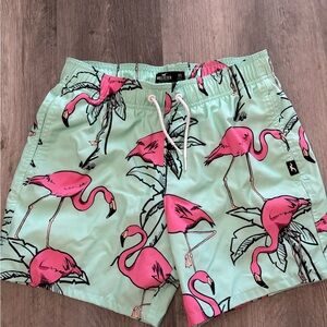 Hollister swim trunks